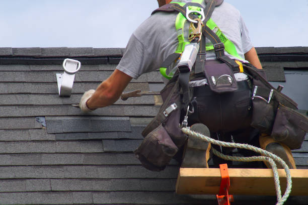Best Commercial Roofing Services  in Trempealeau, WI