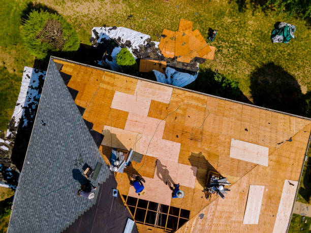 Best Affordable Roof Replacement  in Trempealeau, WI