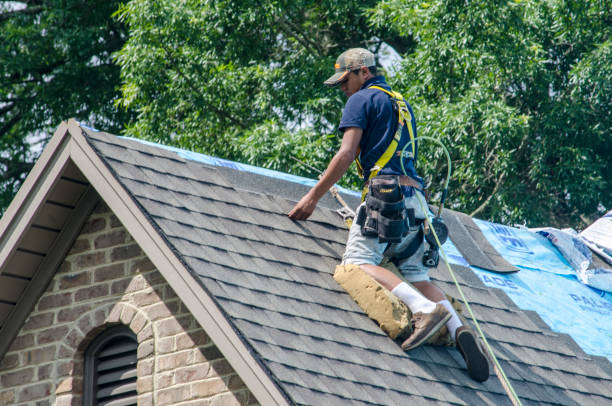 Best Slate Roofing Contractor  in Trempealeau, WI