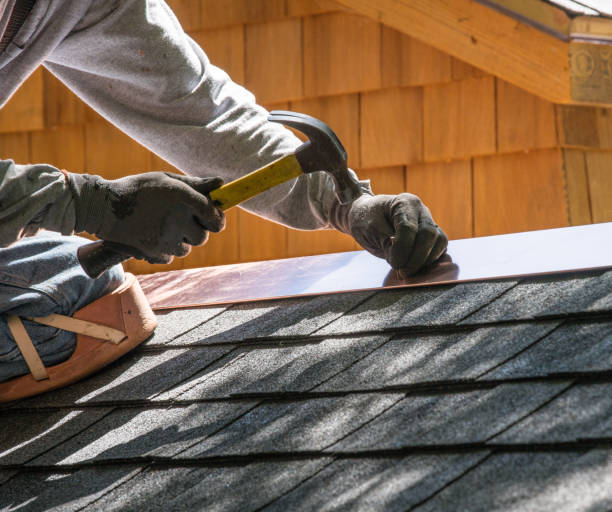 Best Roof Leak Repair  in Trempealeau, WI